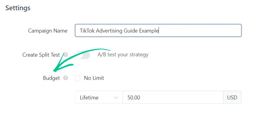 Set Up a Campaign Name & Budget tiktok manager 2023
